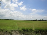21345DSC00616.JPG