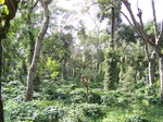 17539100_2800.JPG