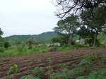18422P1000258.JPG