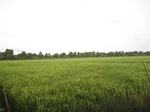 16023IMG_4755.JPG