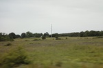 2022-06-11_16-04-46_80C084F1-6605-4E22-A51A-6E41E6A8C690.jpeg