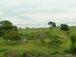18528P1000364.JPG