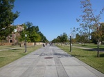 39515P1010131.JPG
