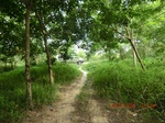 2012-09-26_20-48-05_CIMG1065.JPG