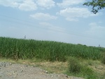 1767522042008(55).JPG