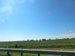 57087CIMG2385.JPG