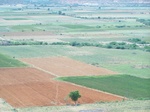 1791527042008(48).JPG