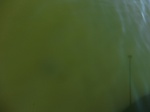 2012-09-21_14-27-06_CIMG3123.JPG