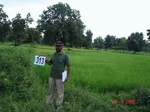 74380313d-rainfed-forest-agriculture-rice.jpg