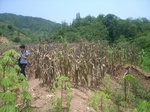 2012-09-08_18-23-59_RIMG0113.JPG