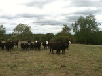 2012-09-14_21-33-16_AR-CR-11-2.JPG