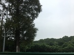 2017-09-11_22-25-43_059B2B88-D51C-4951-AABE-40F26D6A56B0.jpg
