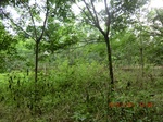 2012-09-26_20-48-25_CIMG1064.JPG