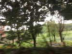 2017-09-10_20-45-08_438A5368-8E09-4FCC-92B3-8C177AAE5F5A.jpg
