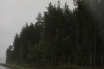2018-04-14_14-26-24_2017-06-12 07.50.21.jpg