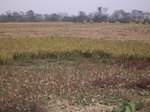 3255R0017289.JPG