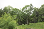 2022-06-11_17-48-25_27C7303C-3DF3-4596-A393-66E9C4202266.jpeg