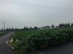 2017-09-10_08-39-46_C567FBC4-EAB8-46E3-AC2A-9B50E5049669.jpg