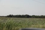 2022-06-11_17-39-28_3FFC6576-FEC8-4B90-83F4-522F4747CEF4.jpeg