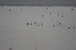 4157IMG_8794.JPG