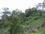 3761RIMG0065.JPG