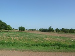 19339P1010185.JPG