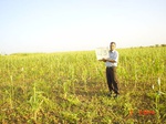 6529gt043-cropland-2.jpg