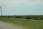 2022-06-11_16-04-41_6FF58EDD-DADE-4DE1-8A69-6CAF2A8567D5.jpeg