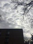2017-12-08_11-29-47_F19BE996-F452-4330-8862-5E56058007BA.jpg