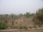 3921RIMG0225.JPG
