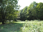 2012-09-10_09-03-50_NH-ST-13-south.JPG