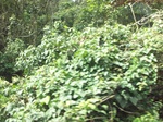 5885100_1588.JPG