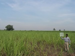 7864gt068b-cropland-rainfed-supplemental-mixed-crops.jpg