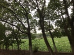 2017-09-10_20-50-57_D67134E1-9324-435B-93C5-A5FDF01C6AB5.jpg
