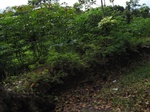 16311IMG_5085.JPG