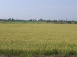 18138CentralThailand-1 (20).JPG