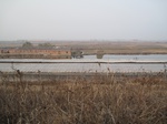 8484IMG_0309.JPG