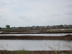 16098IMG_4843.JPG