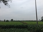 2017-09-12_10-48-19_E1DA92E9-9021-49DA-A326-15DBF387A951.jpg