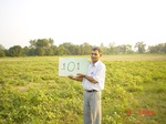 6637gt101-cropland-2.jpg
