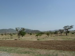 19223P1010069.JPG