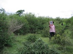 821608-shrubland-valley-botton-includedb.jpg