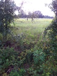 2012-09-21_17-41-23_Antioch Road-4.jpg