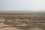 4481IMG_8317.jpg