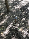2012-09-24_10-40-11_DSC03154.JPG