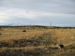 2017-02-24_12-01-46_Feb17-067-CO.jpg