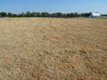 39230KIN220110809N.JPG