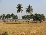 40546CIMG9596.JPG