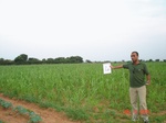 6005004b-irrigation(groundwater)-cotton-sorgum-rice-fruits-grasses.jpg