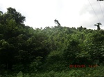 2012-09-26_20-49-24_CIMG0986.JPG